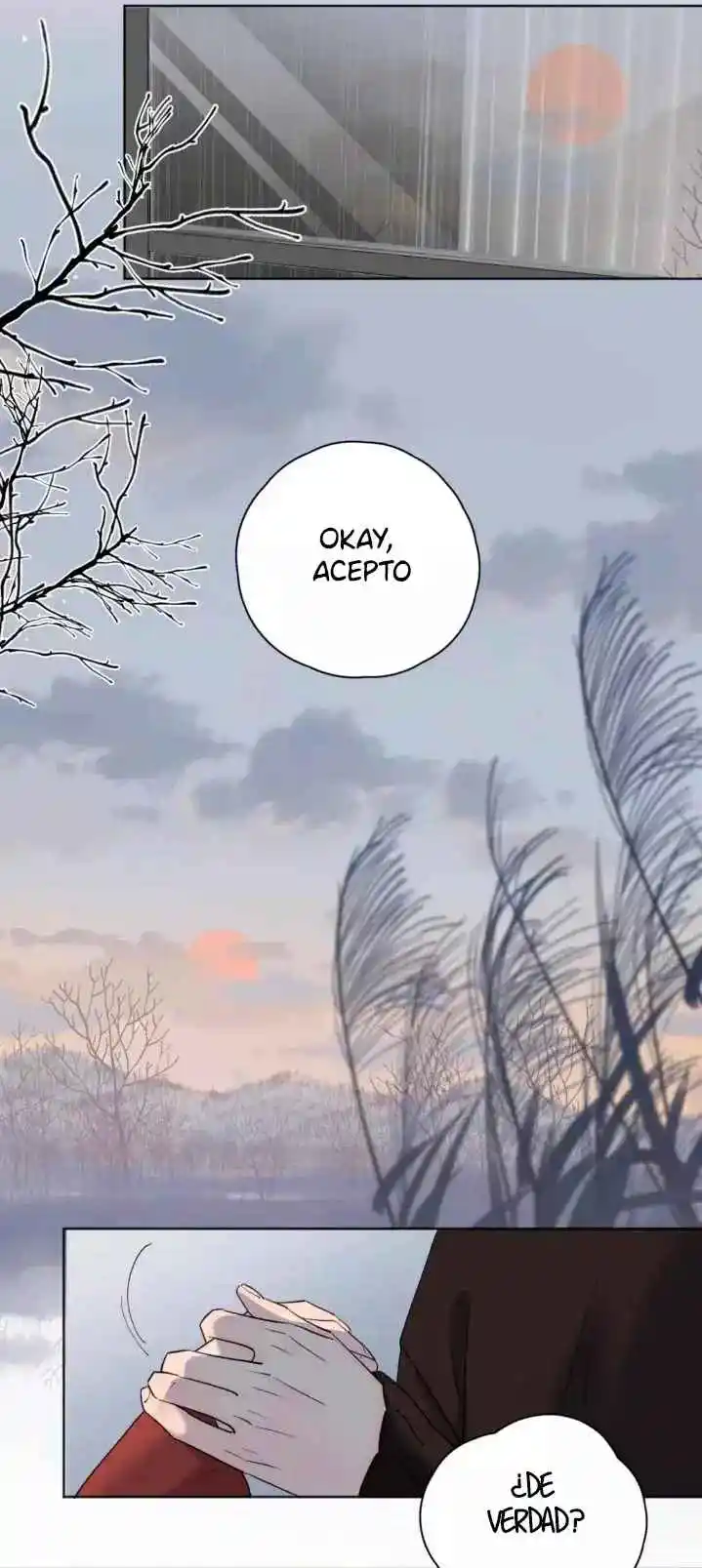 Las Miradas De Amor: El Corazón Tiene Sus Razones. - Capítulo 64 - Página 19 - LectorTMOo