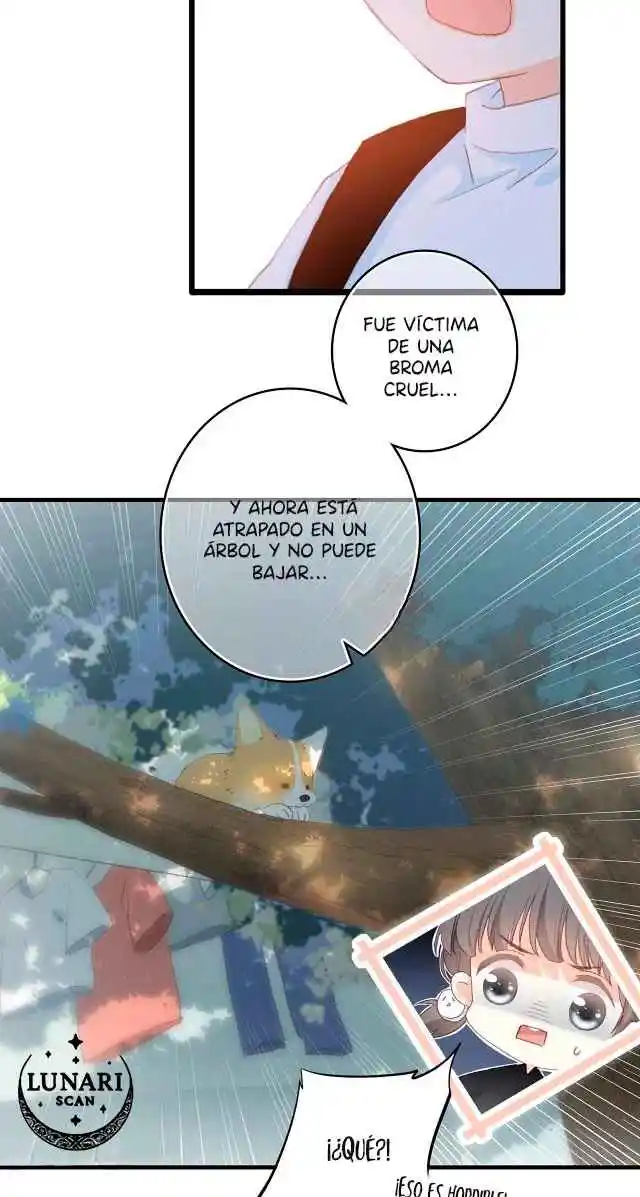 Latido Del Corazón - Capítulo 1 - Página 14 - LectorTMOo