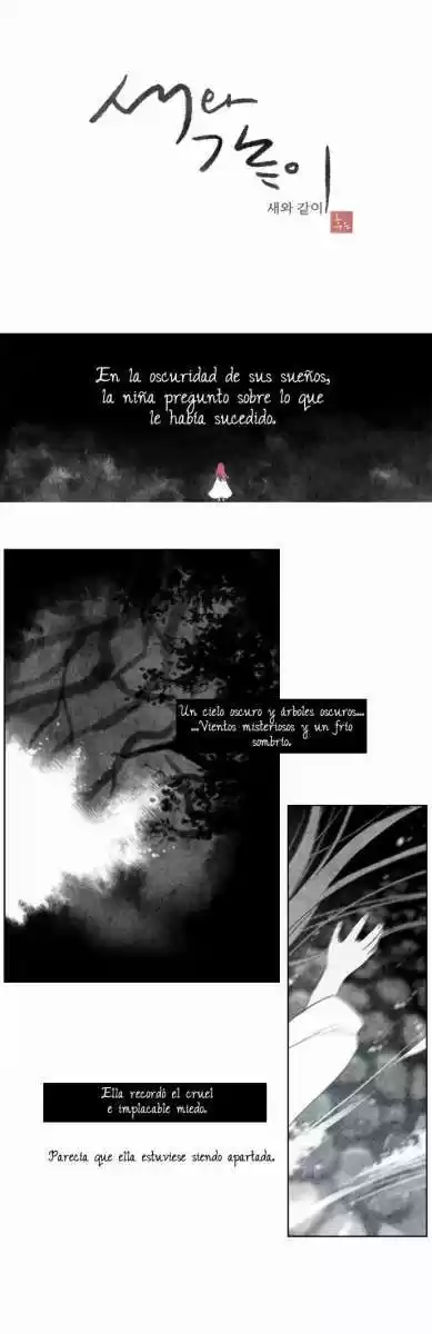 Like A Bird - Capítulo 1 - Página 5 - LectorTMOo