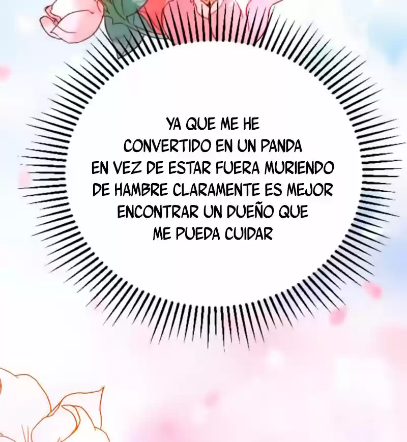 Llego La Adorable Princesa: ¡El Panda Celestial Pide Un Abrazo! - Capítulo 3 - Página 18 - LectorTMOo