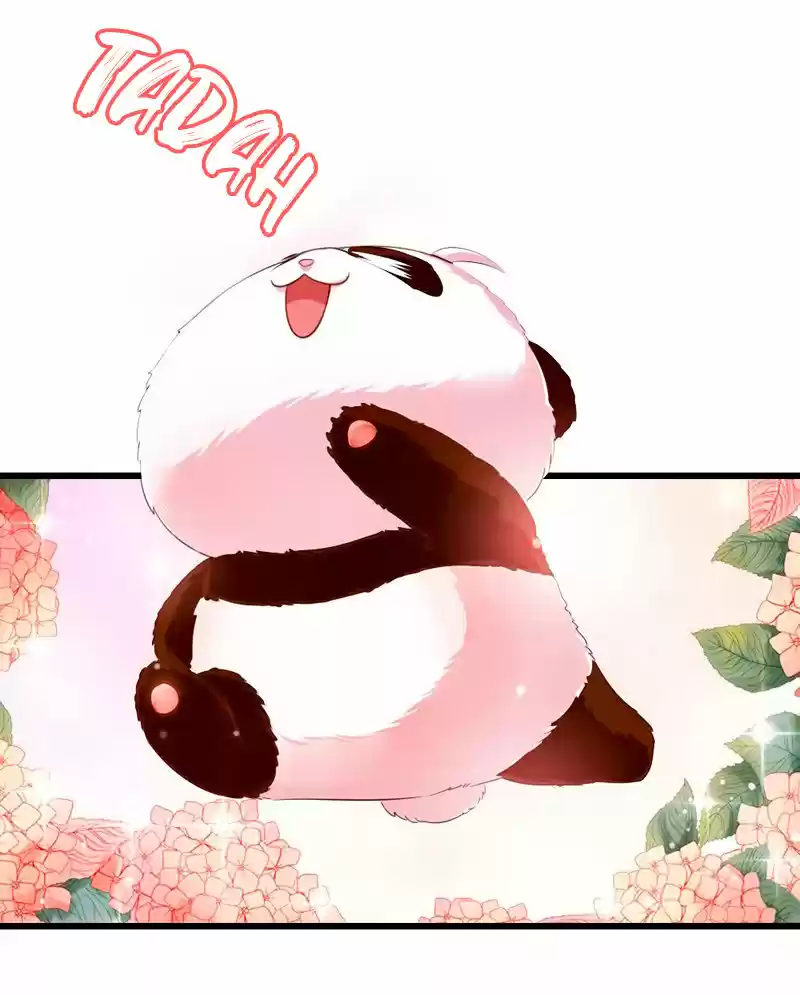 Llego La Adorable Princesa: ¡El Panda Celestial Pide Un Abrazo! - Capítulo 4 - Página 25 - LectorTMOo