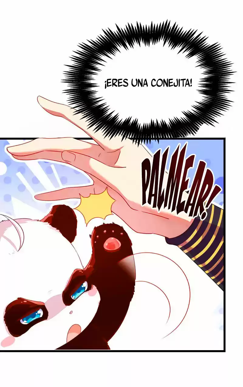 Llego La Adorable Princesa: ¡El Panda Celestial Pide Un Abrazo! - Capítulo 6 - Página 13 - LectorTMOo