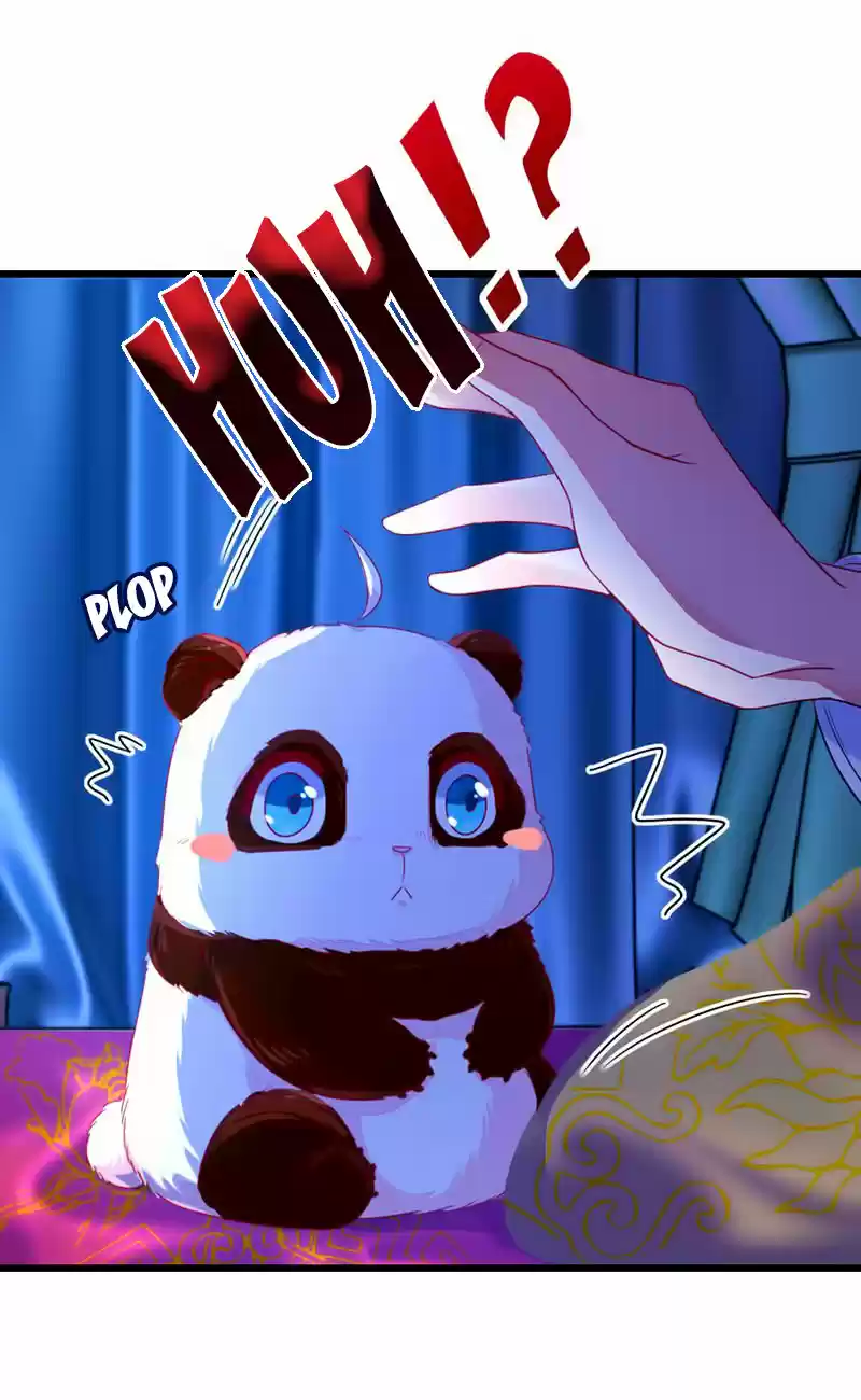 Llego La Adorable Princesa: ¡El Panda Celestial Pide Un Abrazo! - Capítulo 8 - Página 17 - LectorTMOo