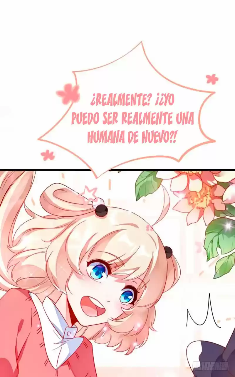 Llego La Adorable Princesa: ¡El Panda Celestial Pide Un Abrazo! - Capítulo 9 - Página 33 - LectorTMOo