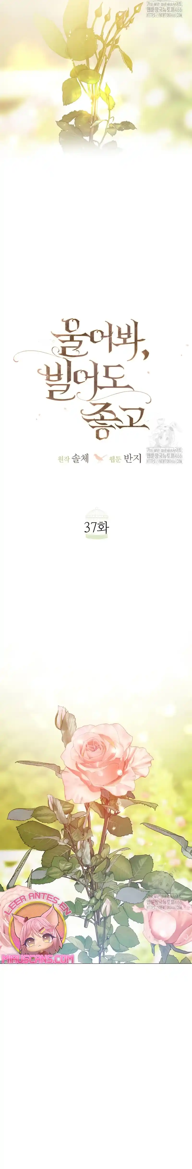 Llora, Aunque Es Mejor Si Suplicas - Capítulo 37 - Página 13 - LectorTMOo