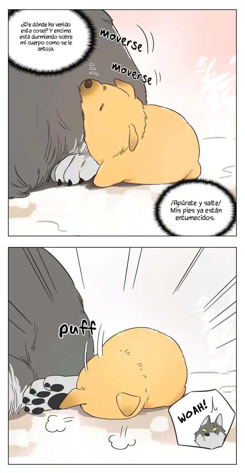Lobo Y Su Cachorro - Capítulo 1 - Página 4 - LectorTMOo