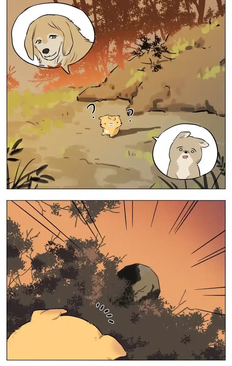 Lobo Y Su Cachorro - Capítulo 13 - Página 13 - LectorTMOo