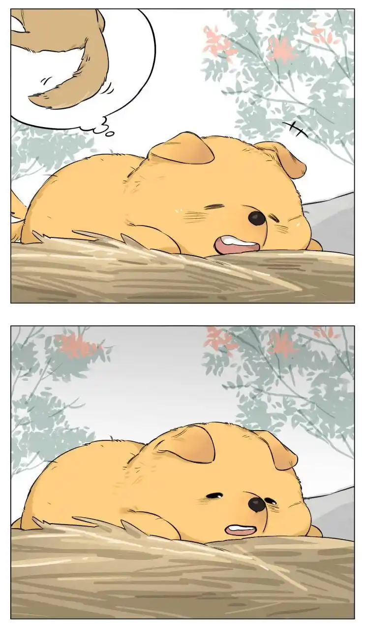 Lobo Y Su Cachorro - Capítulo 13 - Página 19 - LectorTMOo