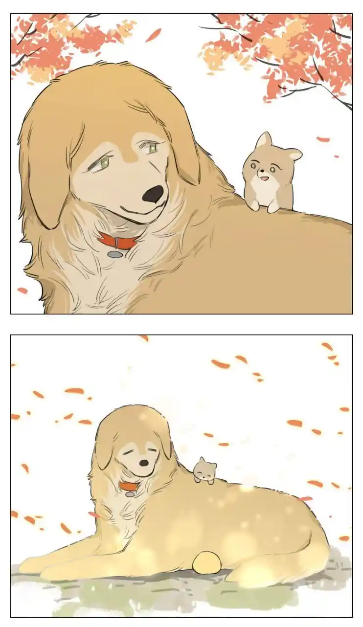 Lobo Y Su Cachorro - Capítulo 13 - Página 23 - LectorTMOo