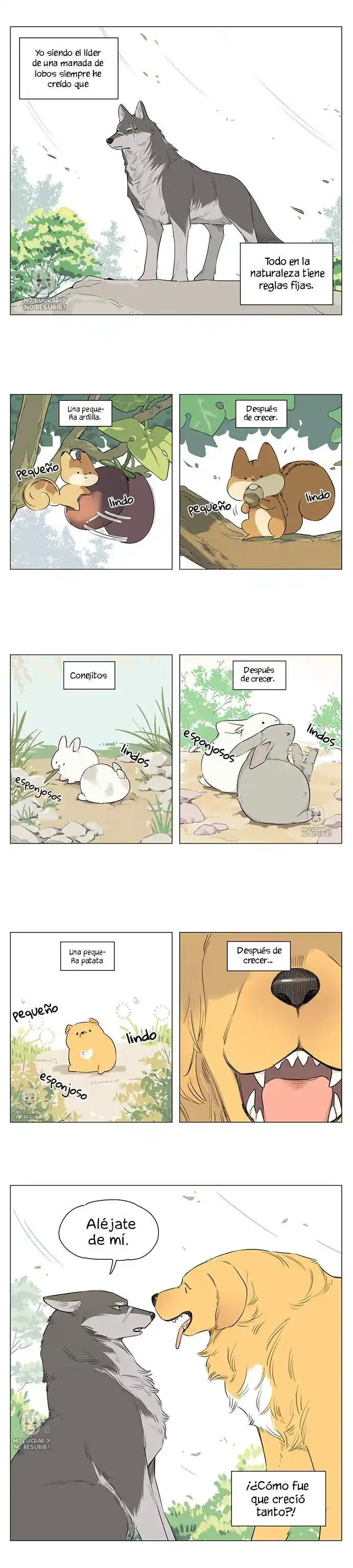 Lobo Y Su Cachorro - Capítulo 17 - Página 3 - LectorTMOo