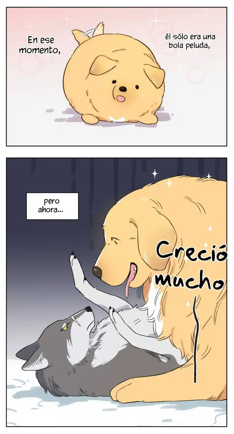 Lobo Y Su Cachorro - Capítulo 2 - Página 5 - LectorTMOo