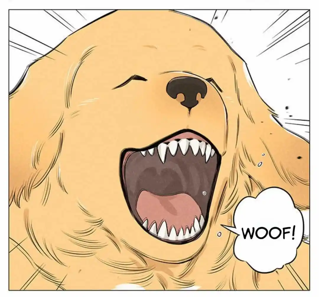 Lobo Y Su Cachorro - Capítulo 23 - Página 11 - LectorTMOo