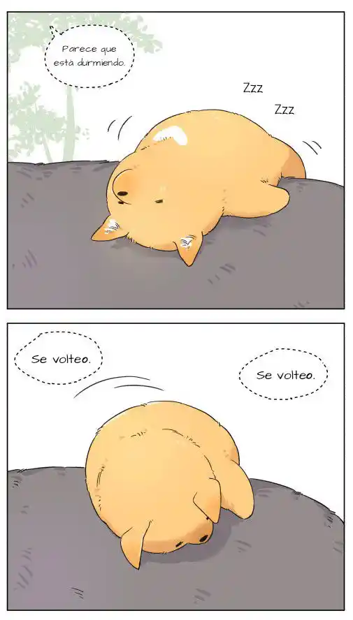Lobo Y Su Cachorro - Capítulo 4 - Página 5 - LectorTMOo