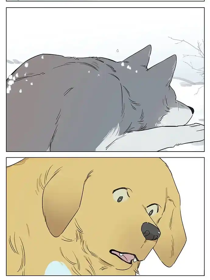 Lobo Y Su Cachorro - Capítulo 48 - Página 13 - LectorTMOo