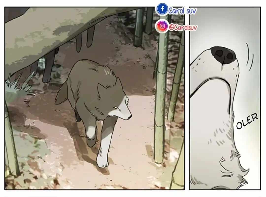 Lobo Y Su Cachorro - Capítulo 74 - Página 12 - LectorTMOo