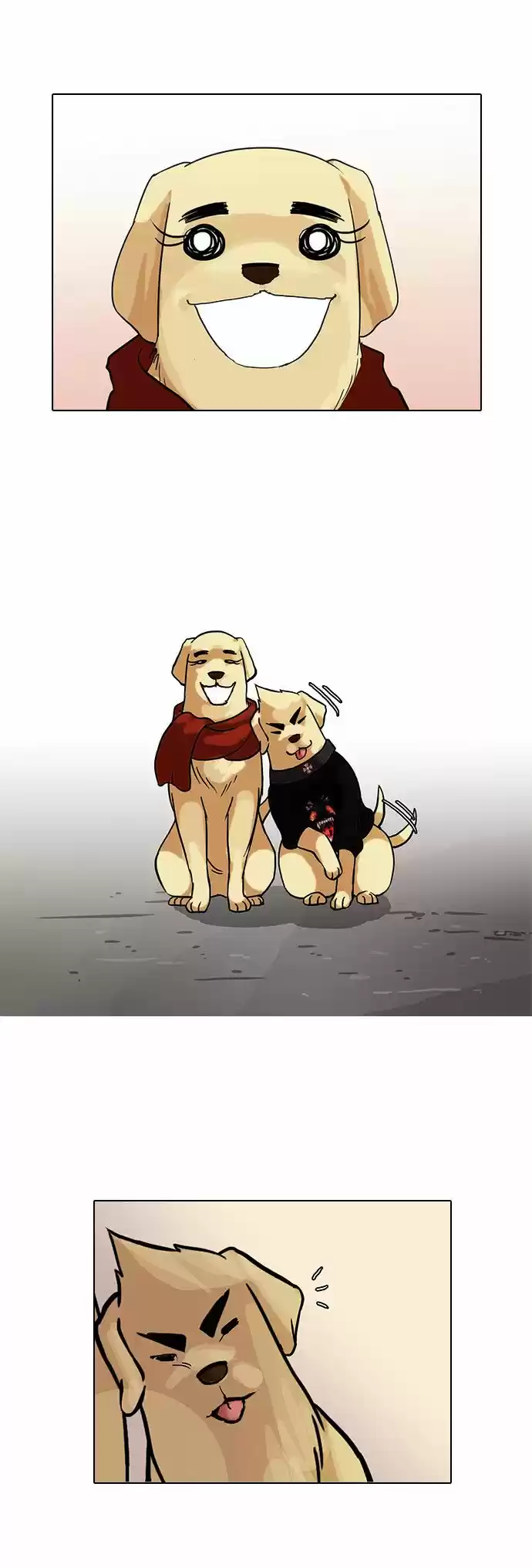Lookism - Capítulo 70 - Página 37 - LectorTMOo