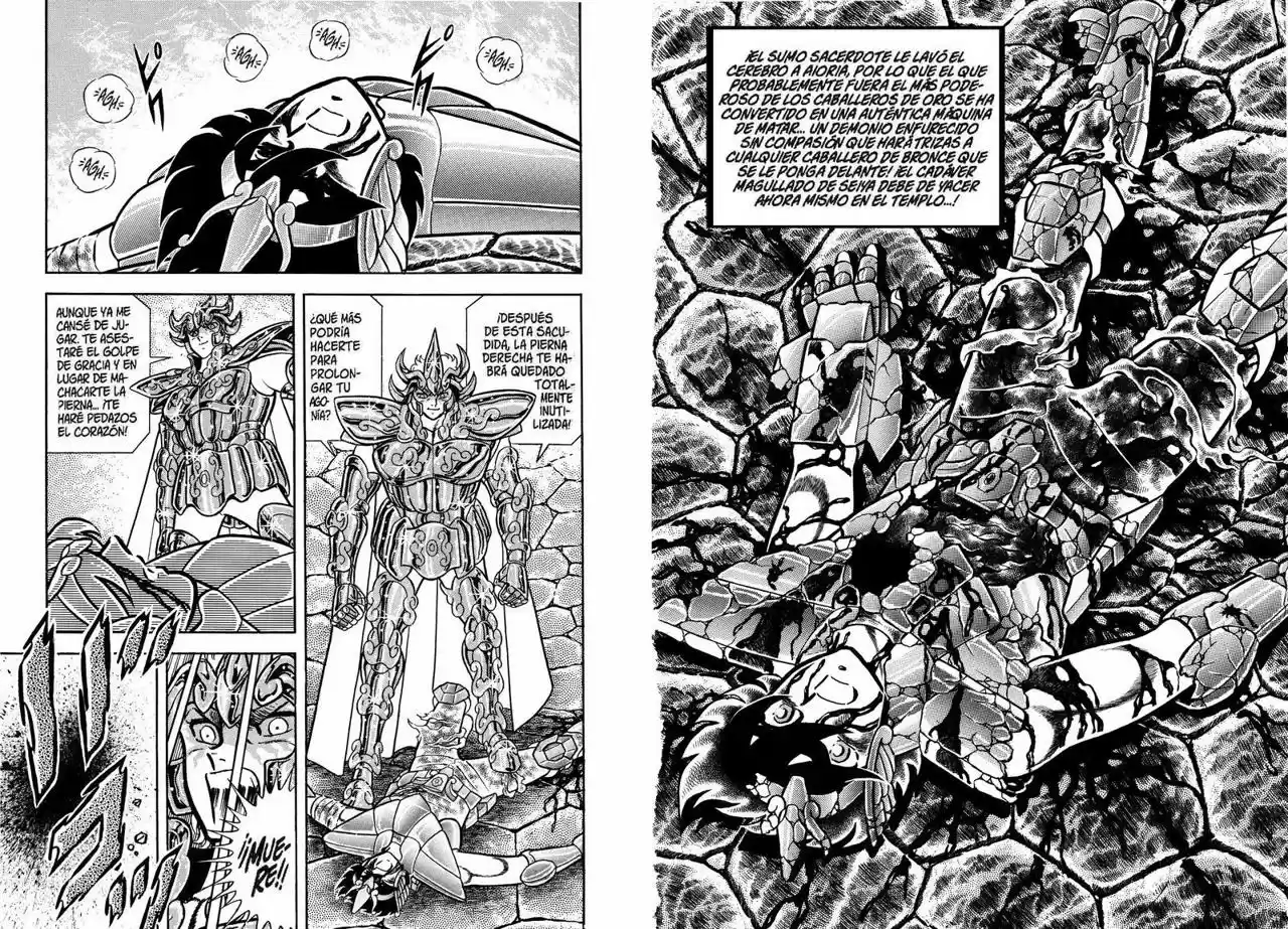 Los Caballeros Del Zodiaco - Capítulo 33 - Página 17 - LectorTMOo