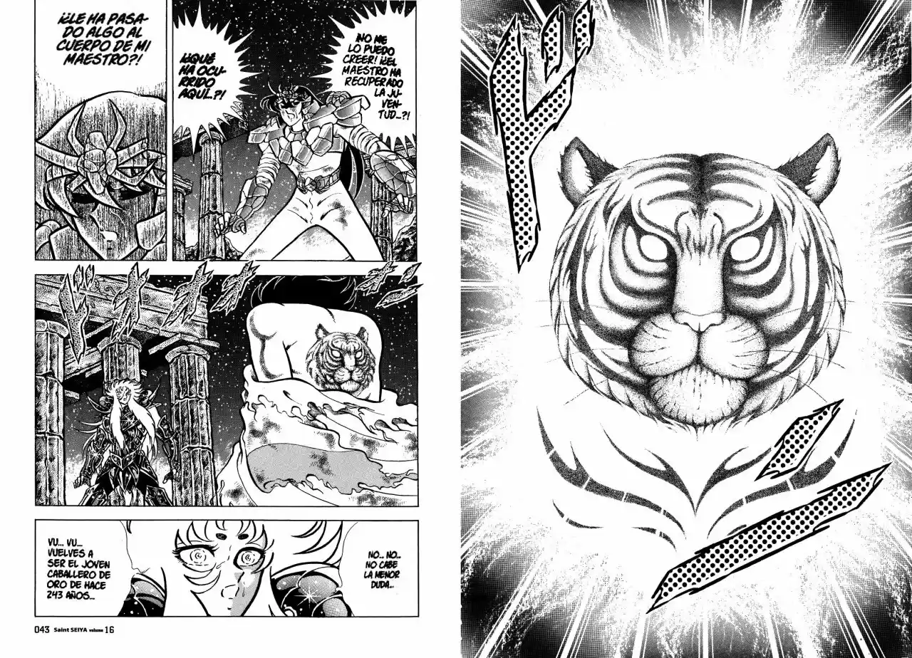 Los Caballeros Del Zodiaco - Capítulo 73 - Página 17 - LectorTMOo