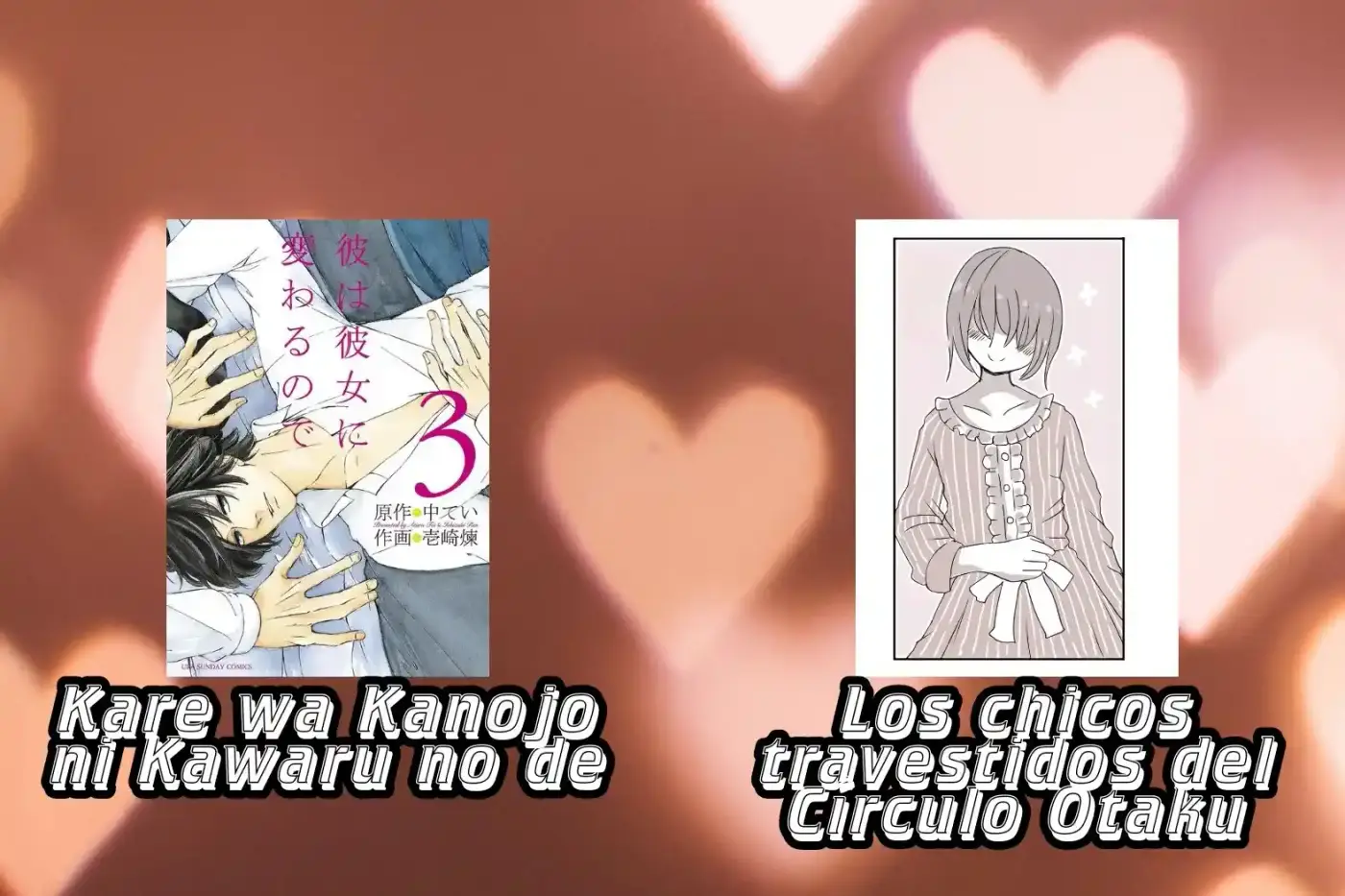 Los Chicos Travestidos Del Círculo Otaku - Capítulo 23 - Página 8 - LectorTMOo