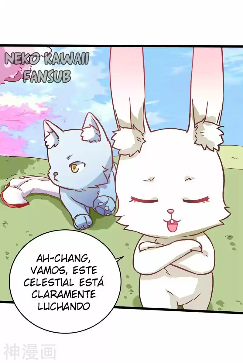 Los Conejos No Pueden Ser Dioses - Capítulo 2 - Página 25 - LectorTMOo