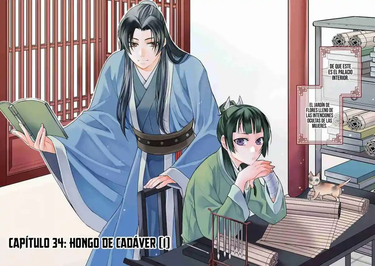 Los Diarios De La Boticaria. – El Diario De Los Misterios Del Palacio Interior De MaoMao. - Capítulo 34 - Página 5 - LectorTMOo
