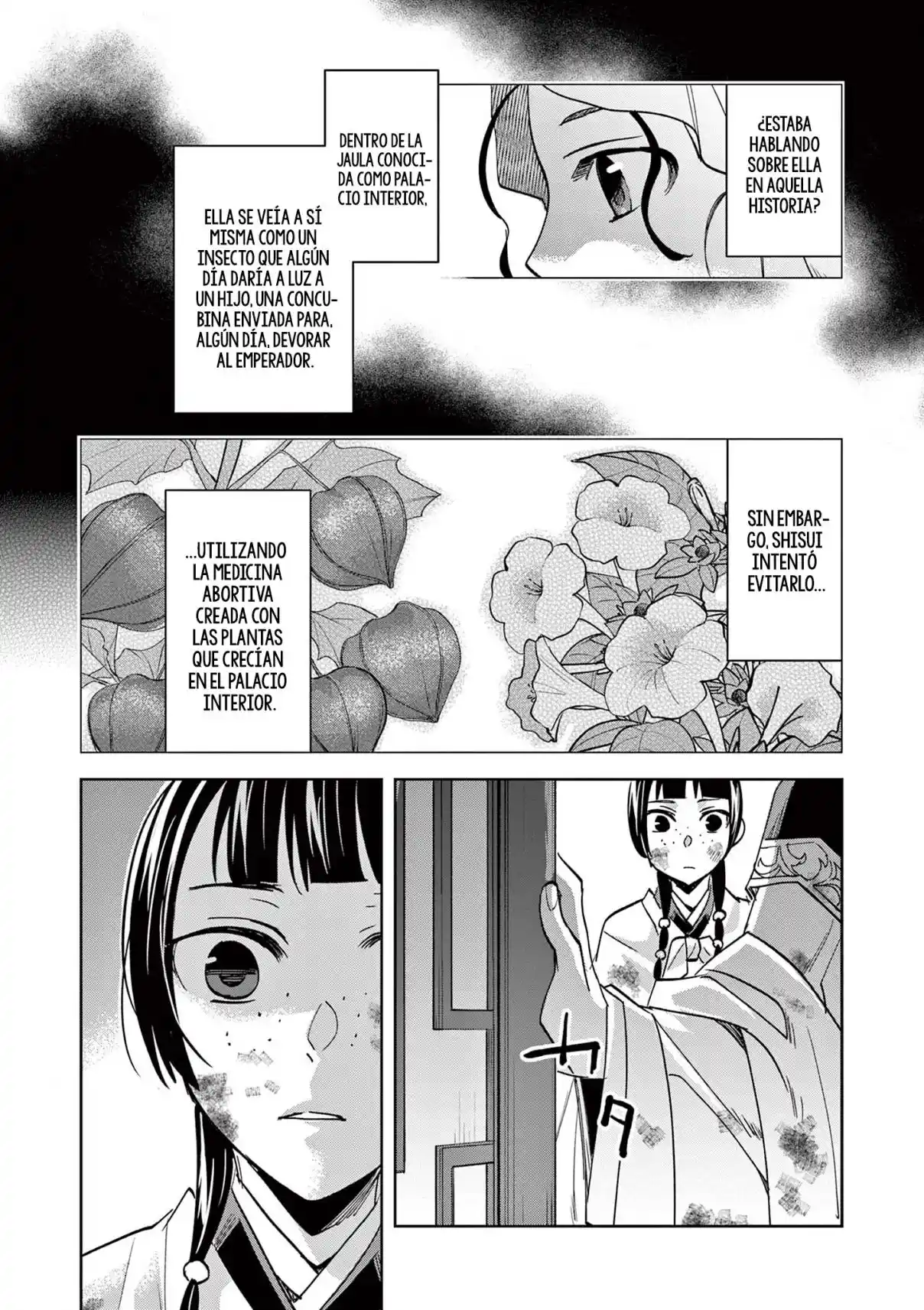 Los Diarios De La Boticaria. – El Diario De Los Misterios Del Palacio Interior De MaoMao. - Capítulo 73 - Página 19 - LectorTMOo