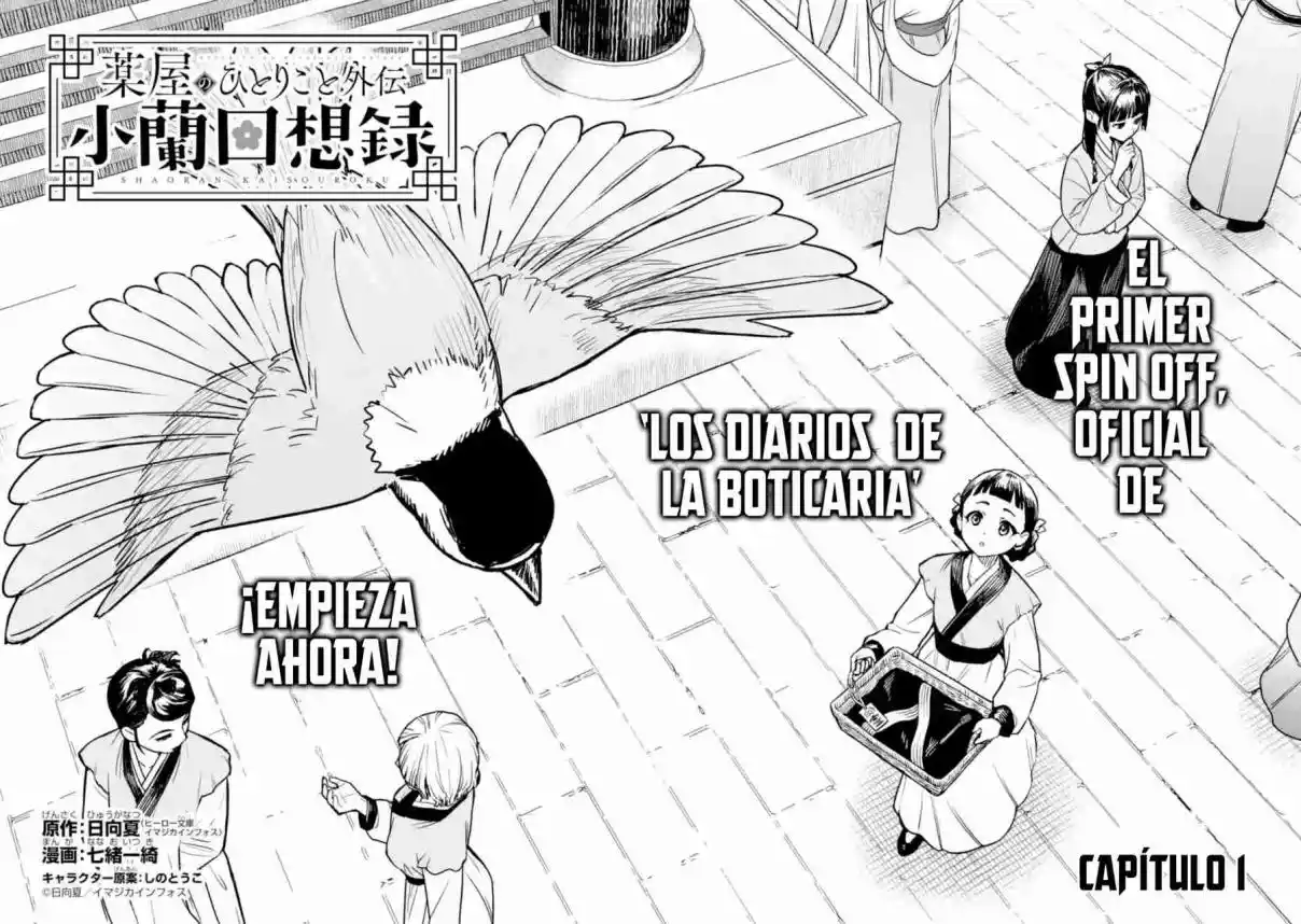 Los Diarios De La Boticaria: Historia Paralela -Memorias De Shaoran- - Capítulo 1 - Página 11 - LectorTMOo