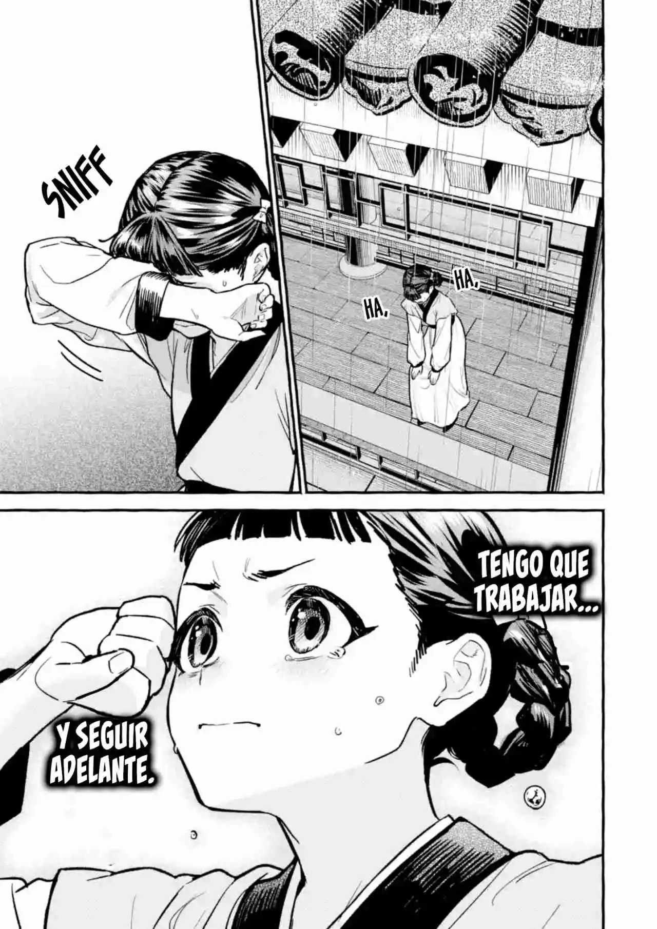 Los Diarios De La Boticaria: Historia Paralela -Memorias De Shaoran- - Capítulo 1 - Página 29 - LectorTMOo
