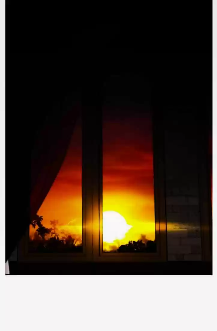 Los Ojos Fríos Del Sol - Capítulo 1 - Página 11 - LectorTMOo