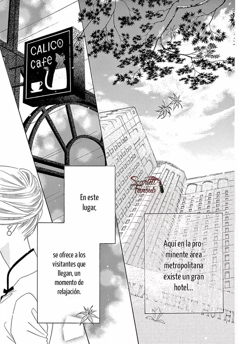 Love Phantom - Capítulo 32 - Página 7 - LectorTMOo