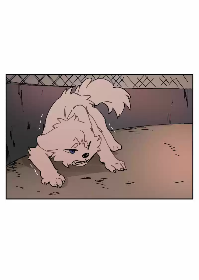 LUMINE - Capítulo 108 - Página 17 - LectorTMOo