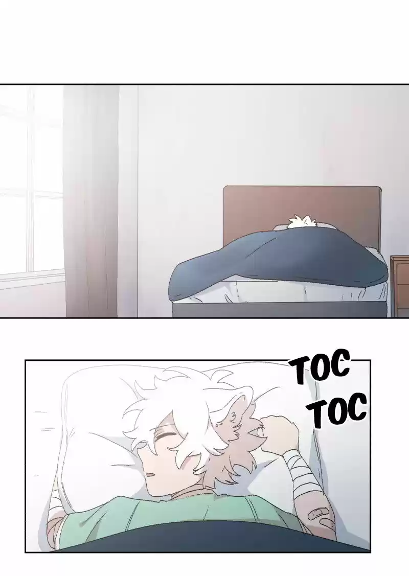 LUMINE - Capítulo 31 - Página 5 - LectorTMOo