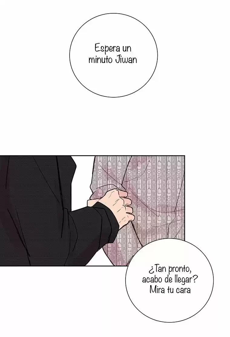 Luz De Primavera - Capítulo 2 - Página 17 - LectorTMOo