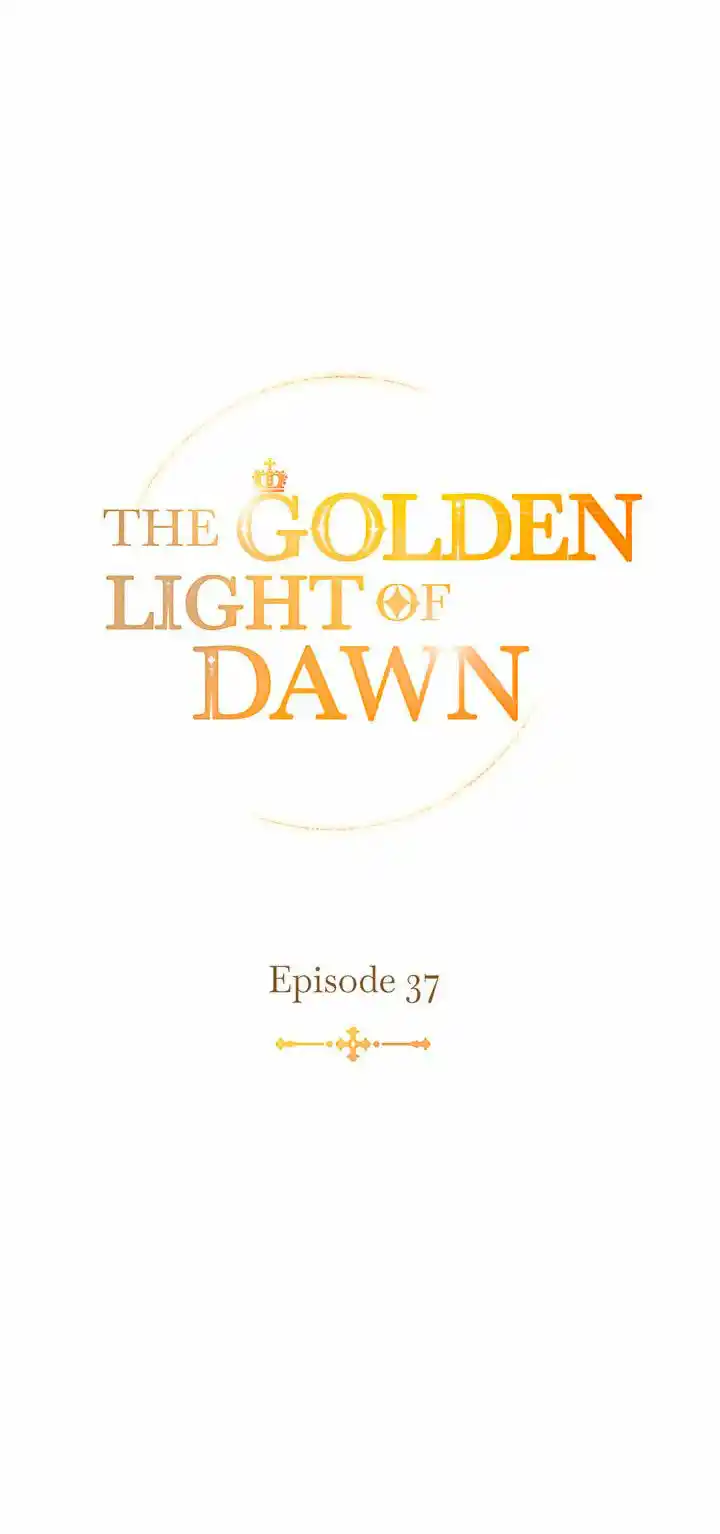 Luz Dorada Del Amanecer - Capítulo 37 - Página 36 - LectorTMOo