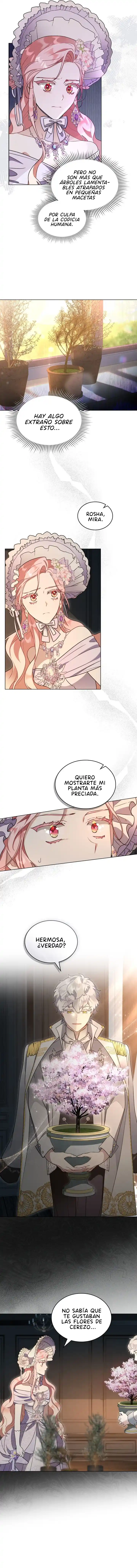 Luz Dorada Del Amanecer - Capítulo 51 - Página 5 - LectorTMOo