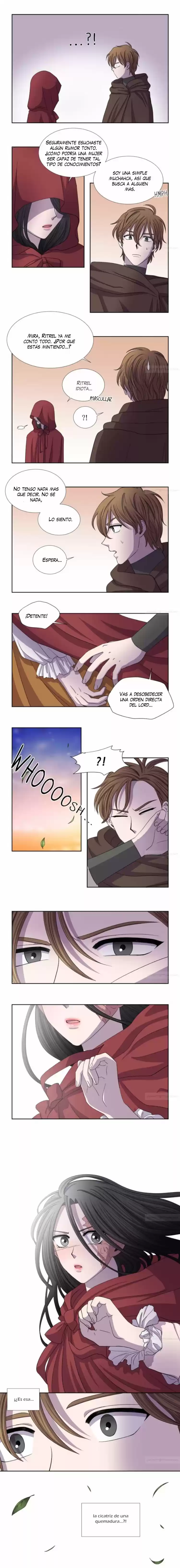 Luz Y Sombra - Capítulo 41 - Página 6 - LectorTMOo