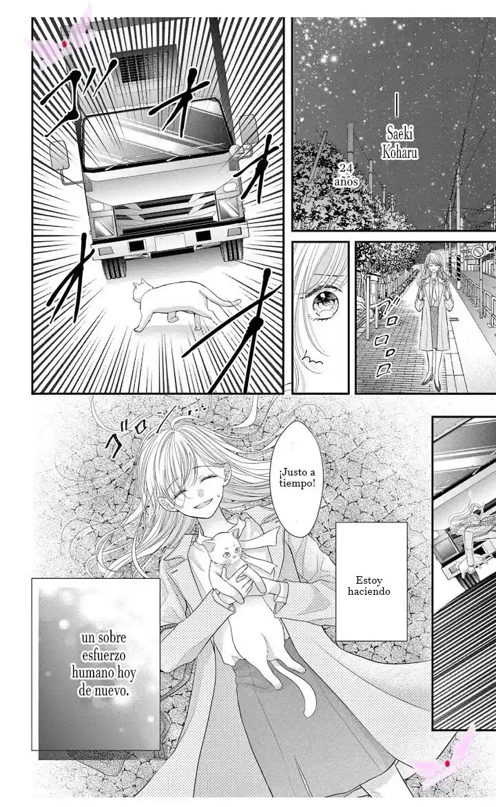 Mímame Soy Una Gata (甘やかしてね猫だから) - Capítulo 1 - Página 6 - LectorTMOo