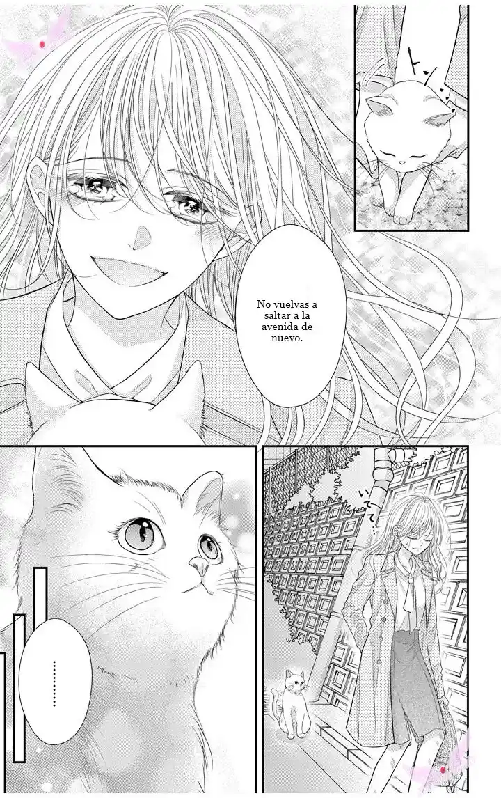 Mímame Soy Una Gata (甘やかしてね猫だから) - Capítulo 1 - Página 7 - LectorTMOo