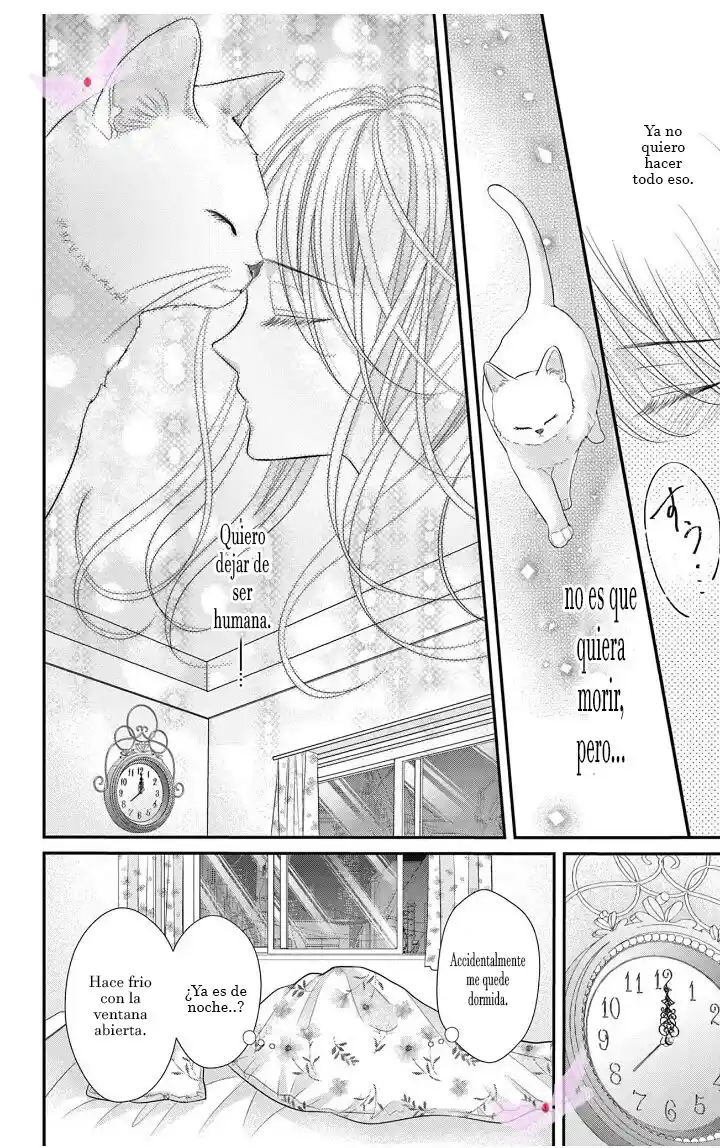 Mímame Soy Una Gata (甘やかしてね猫だから) - Capítulo 1 - Página 12 - LectorTMOo