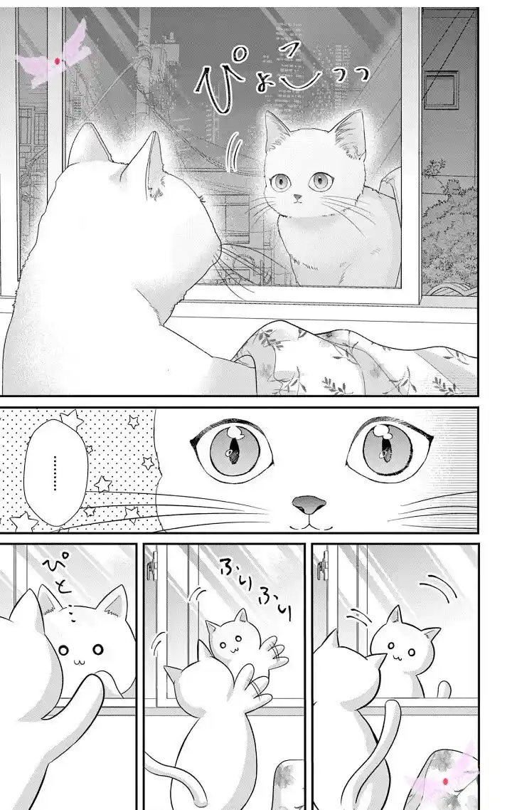 Mímame Soy Una Gata (甘やかしてね猫だから) - Capítulo 1 - Página 13 - LectorTMOo