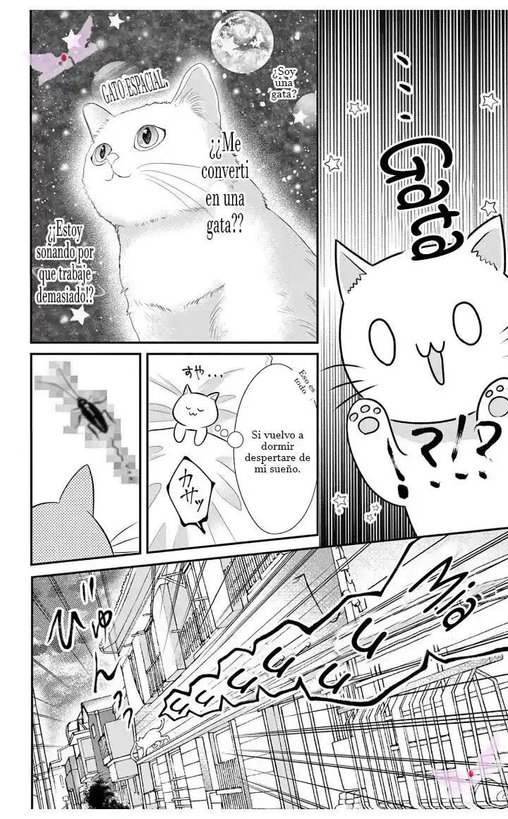 Mímame Soy Una Gata (甘やかしてね猫だから) - Capítulo 1 - Página 14 - LectorTMOo