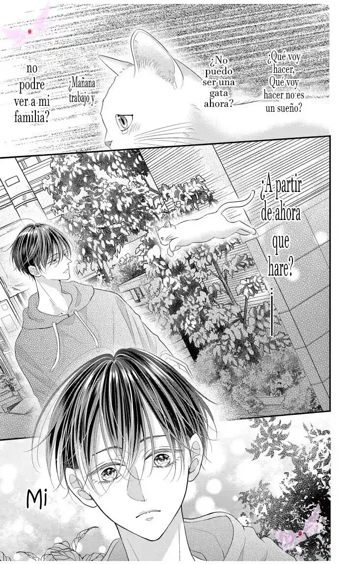 Mímame Soy Una Gata (甘やかしてね猫だから) - Capítulo 1 - Página 15 - LectorTMOo