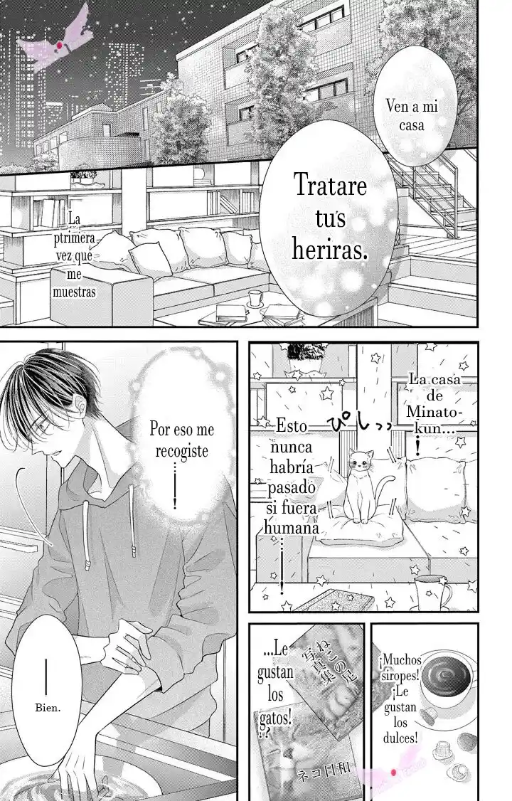 Mímame Soy Una Gata (甘やかしてね猫だから) - Capítulo 1 - Página 17 - LectorTMOo