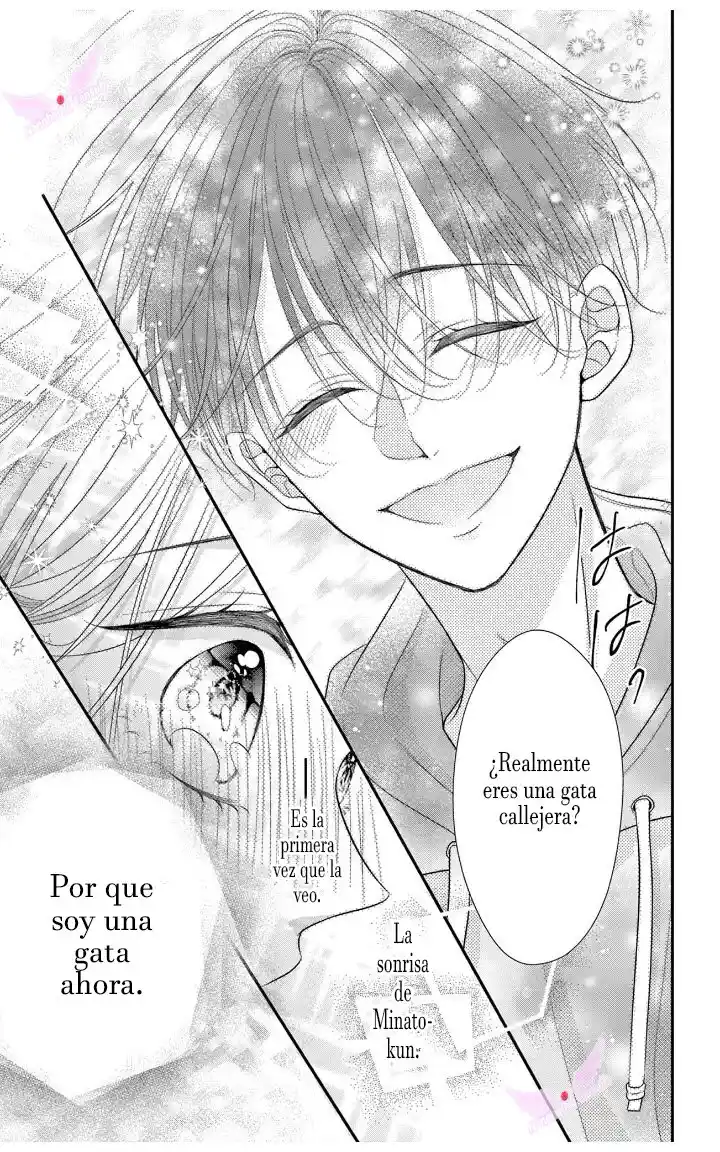 Mímame Soy Una Gata (甘やかしてね猫だから) - Capítulo 1 - Página 19 - LectorTMOo
