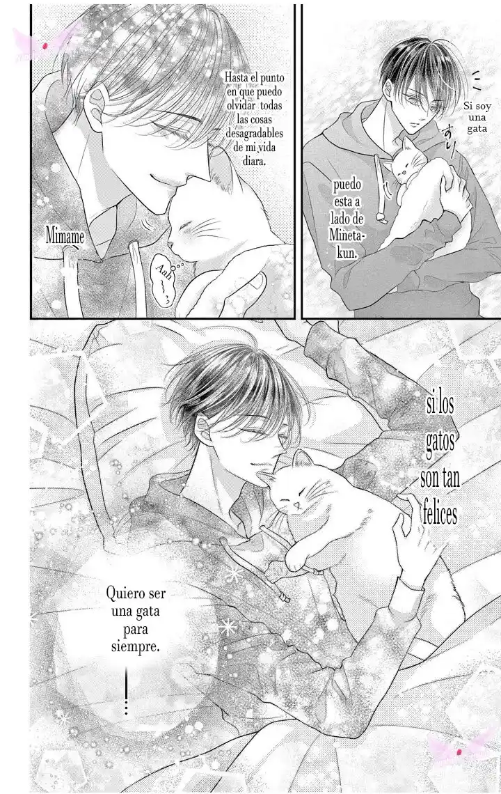 Mímame Soy Una Gata (甘やかしてね猫だから) - Capítulo 1 - Página 20 - LectorTMOo