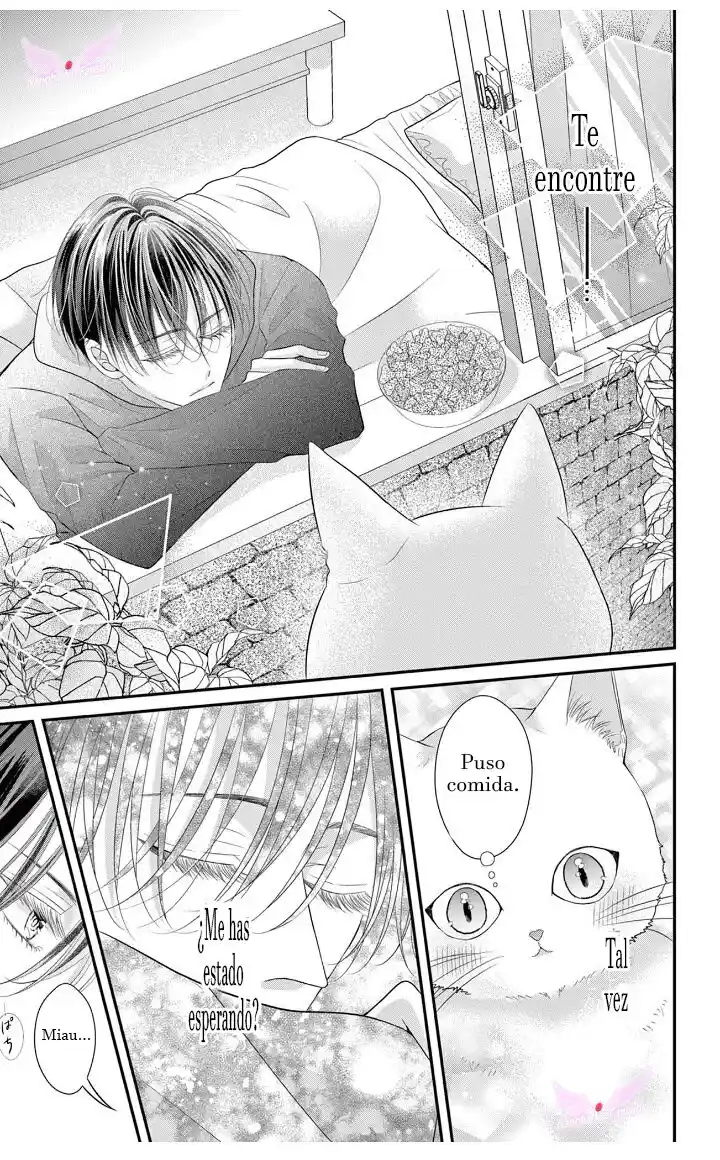 Mímame Soy Una Gata (甘やかしてね猫だから) - Capítulo 1 - Página 25 - LectorTMOo