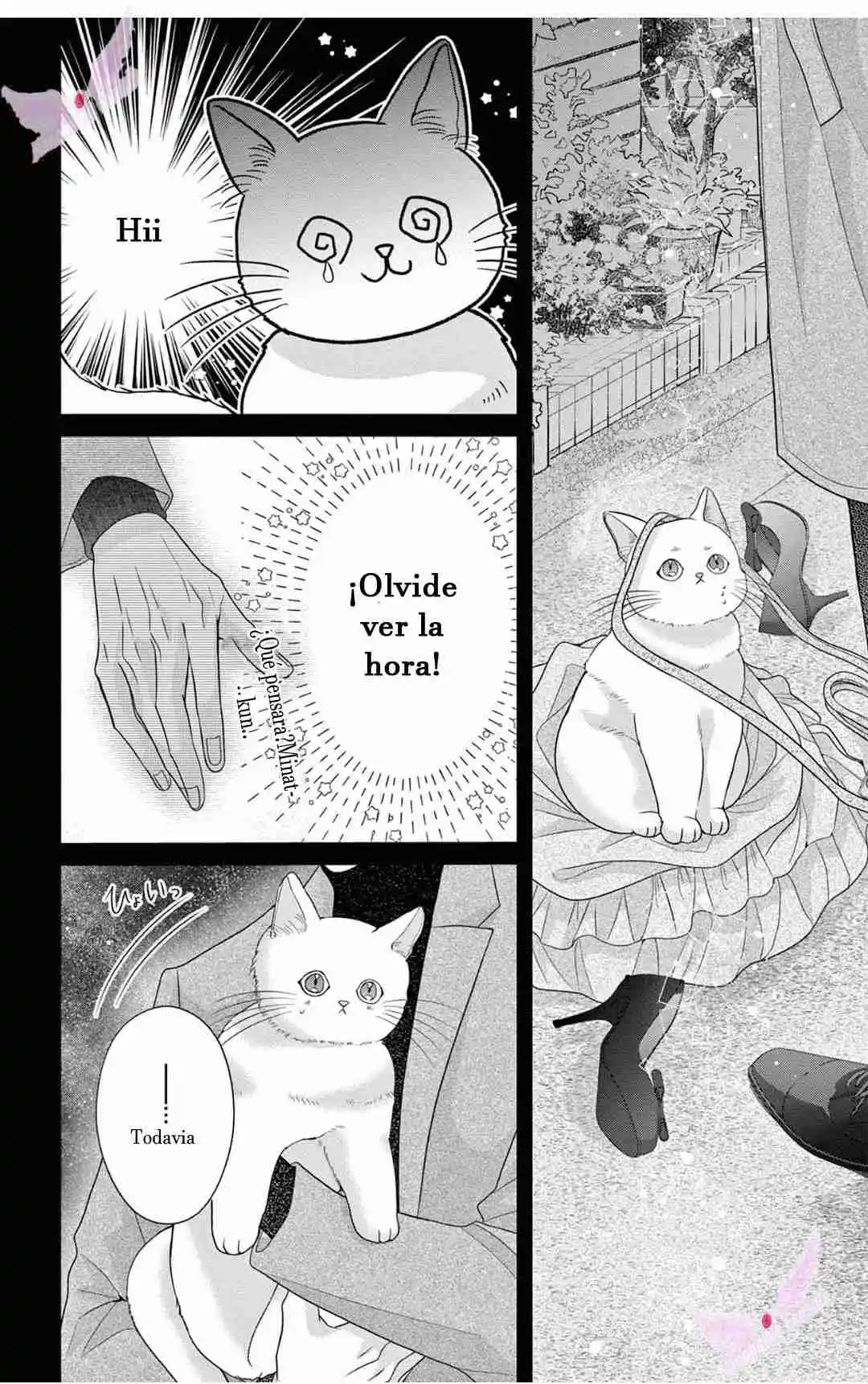 Mímame Soy Una Gata (甘やかしてね猫だから) - Capítulo 11 - Página 31 - LectorTMOo