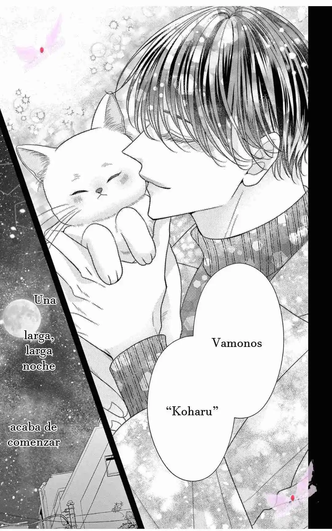 Mímame Soy Una Gata (甘やかしてね猫だから) - Capítulo 11 - Página 32 - LectorTMOo