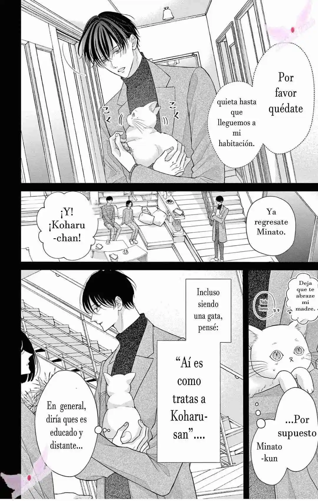 Mímame Soy Una Gata (甘やかしてね猫だから) - Capítulo 12 - Página 3 - LectorTMOo