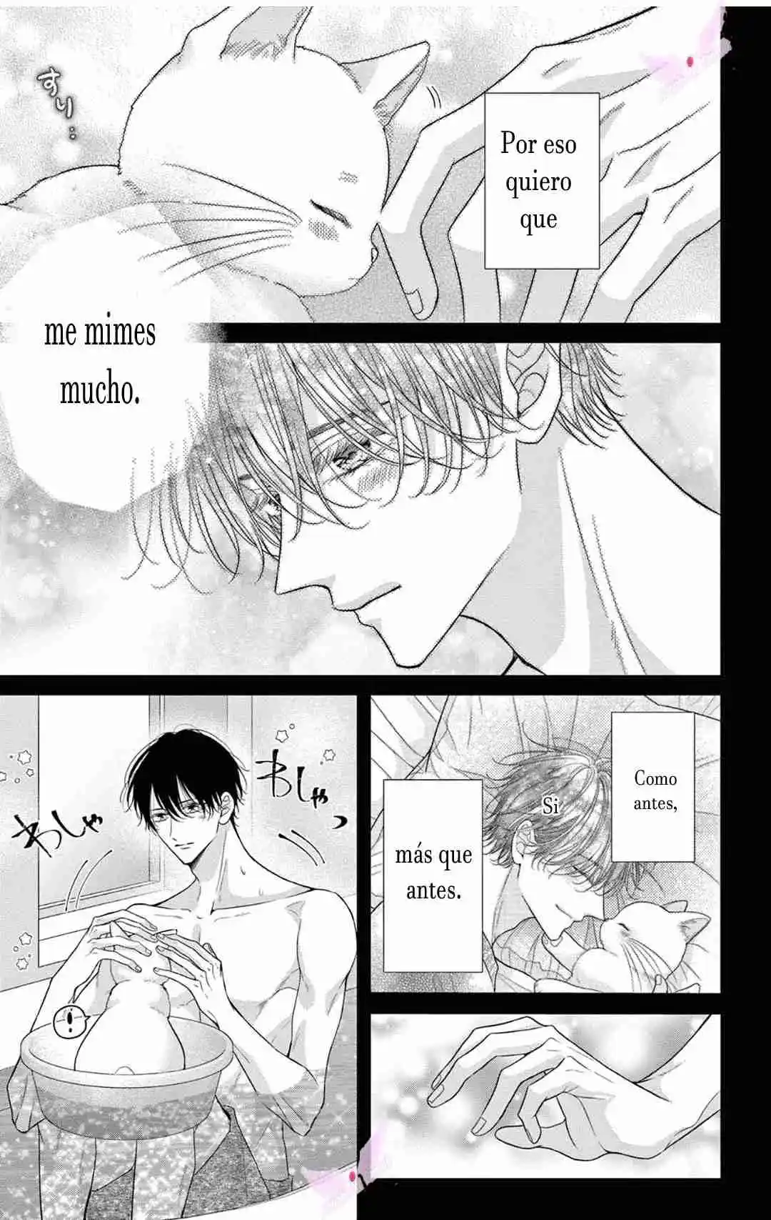 Mímame Soy Una Gata (甘やかしてね猫だから) - Capítulo 12 - Página 10 - LectorTMOo